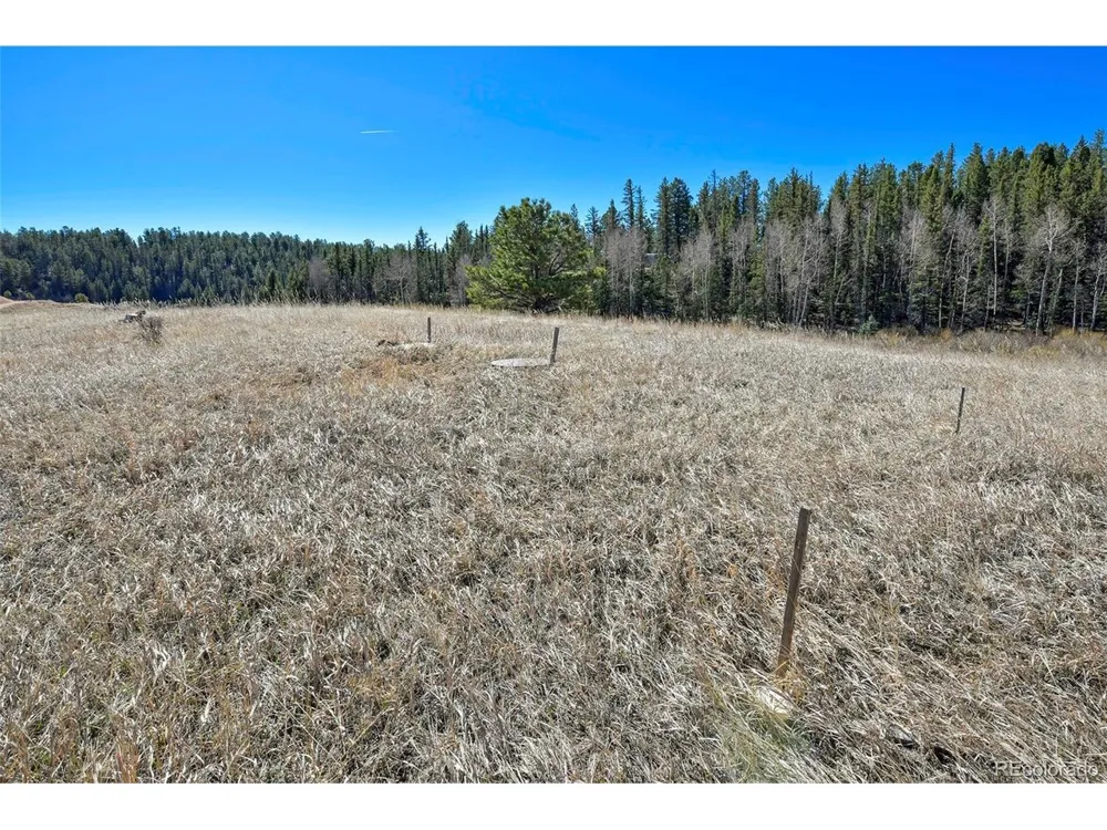 169 Saddleback Creek Drive Florissant, CO 80816