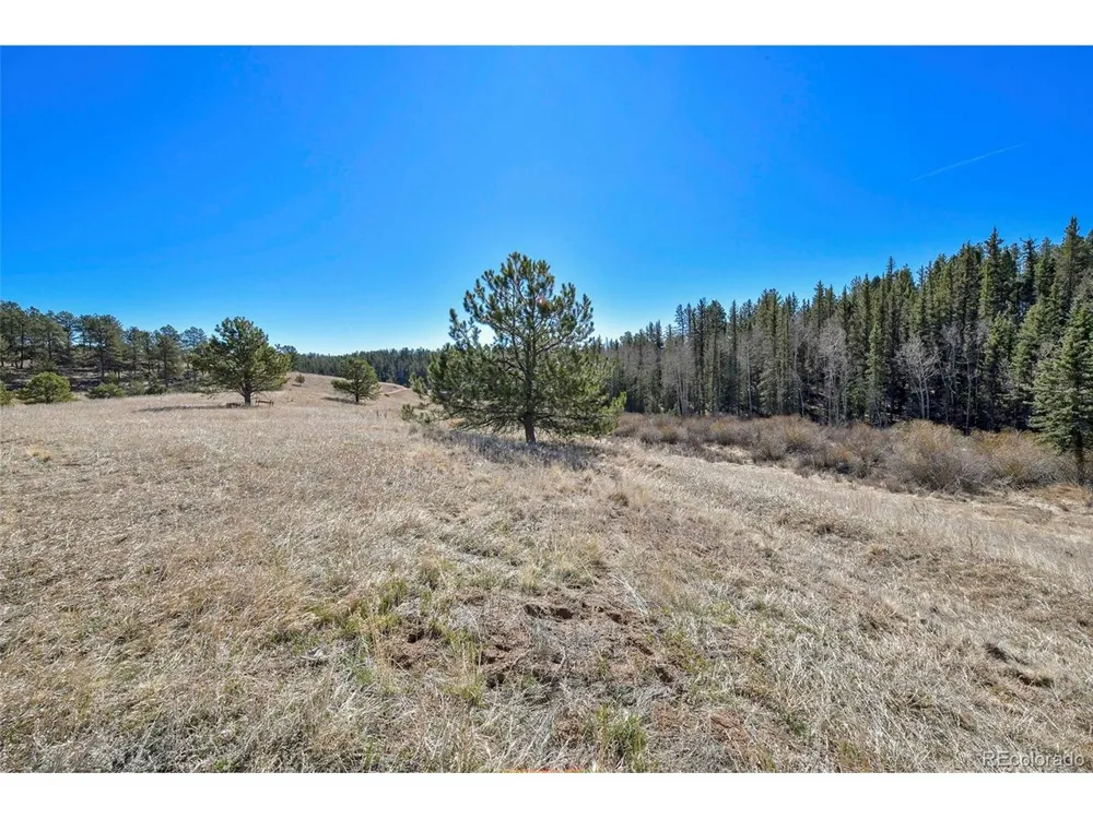 169 Saddleback Creek Drive Florissant, CO 80816