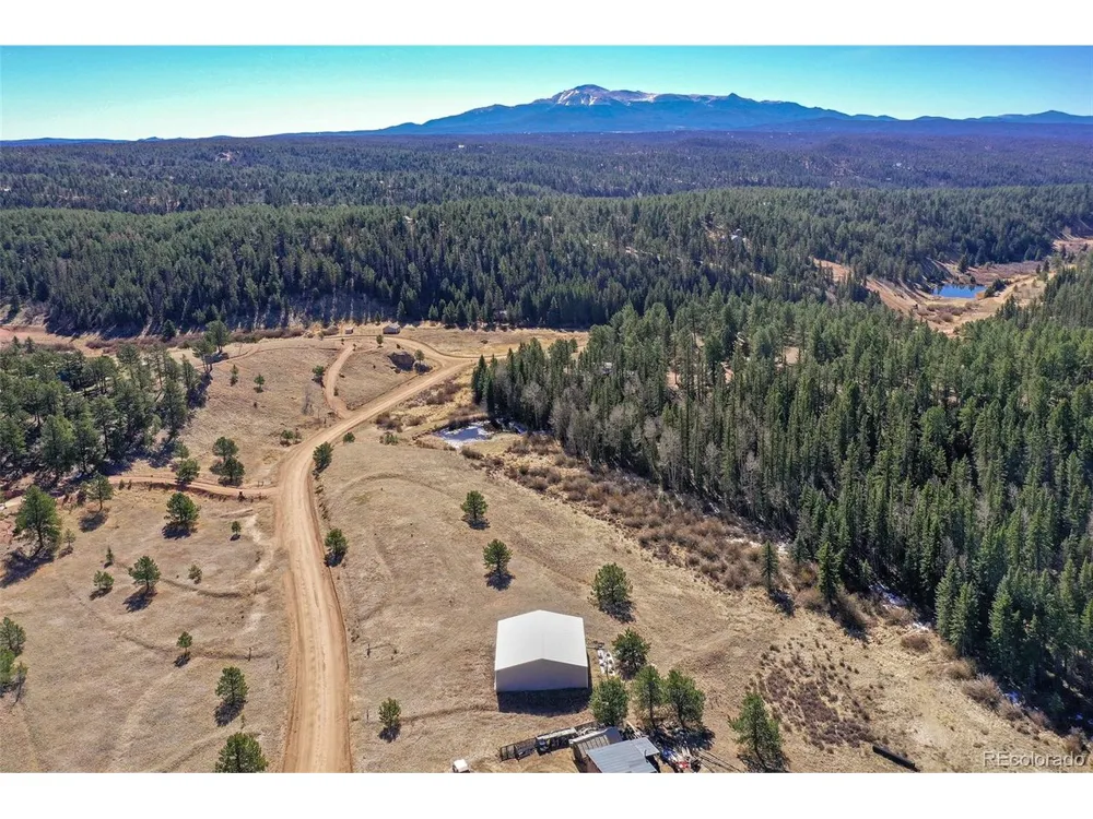 169 Saddleback Creek Drive Florissant, CO 80816