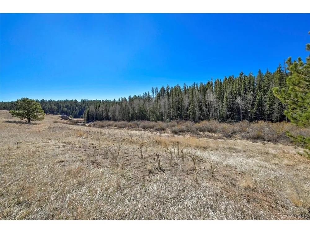169 Saddleback Creek Drive Florissant, CO 80816
