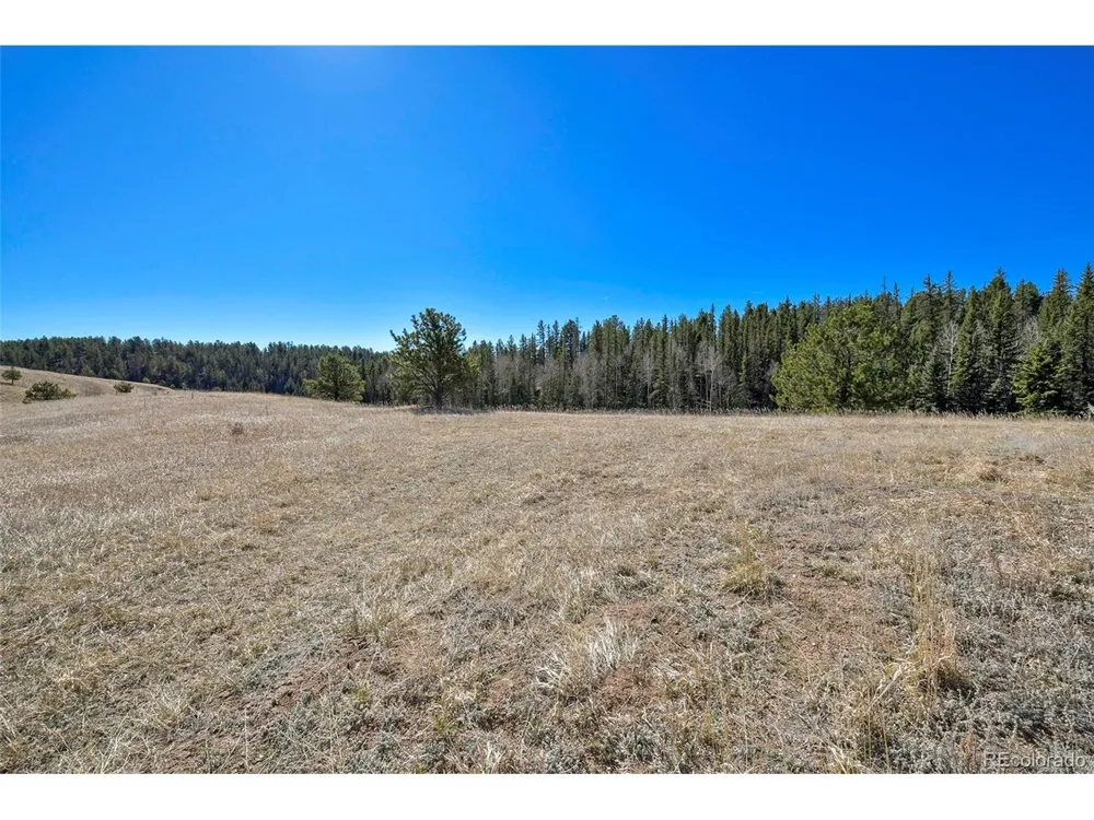 169 Saddleback Creek Drive Florissant, CO 80816