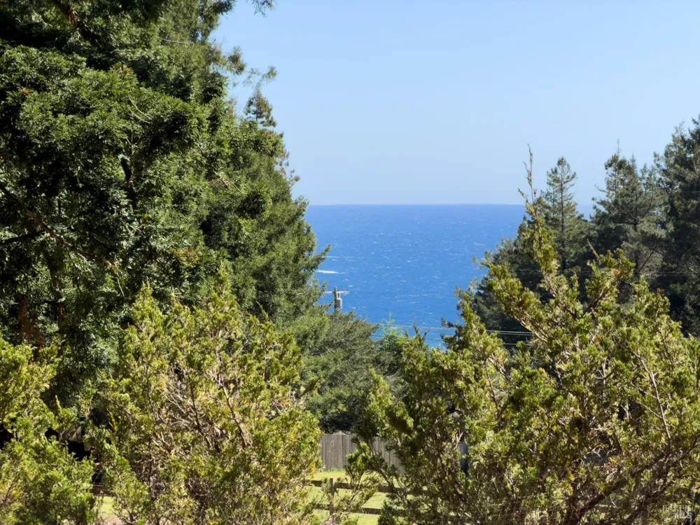46650 Fish Rock Road Gualala, CA 95445