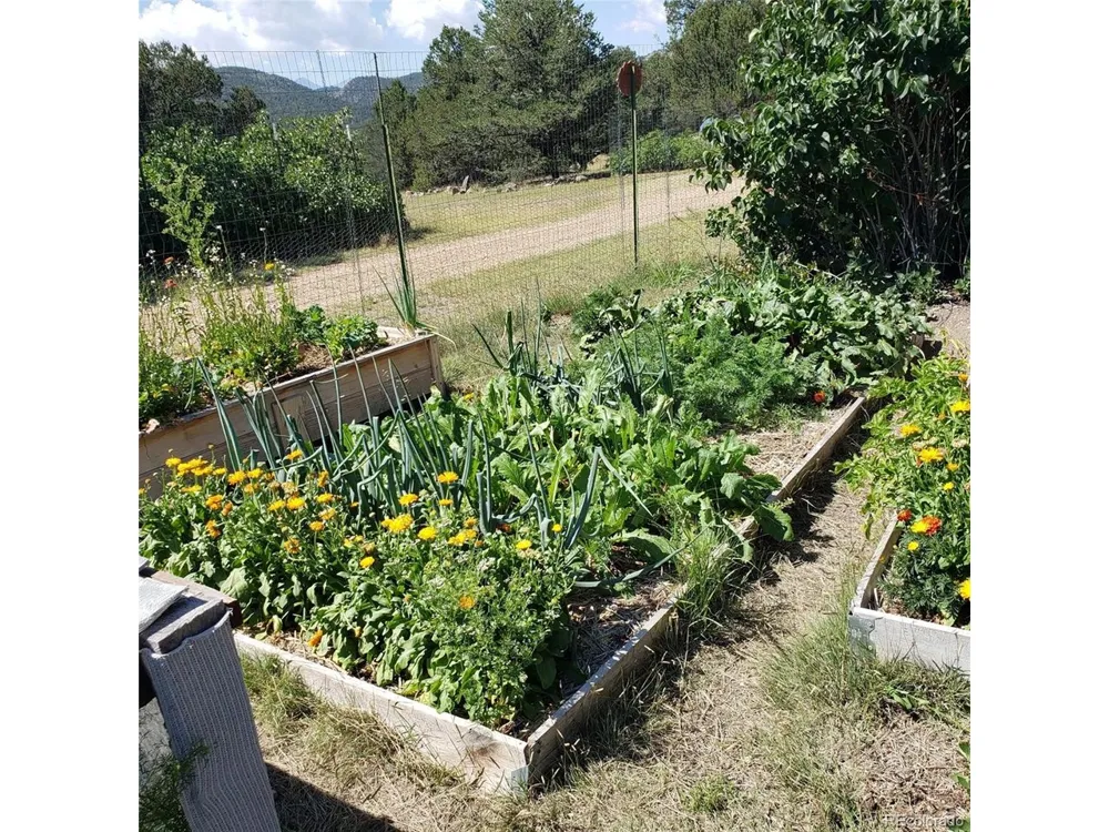2873 County Road 1 Cotopaxi, CO 81223