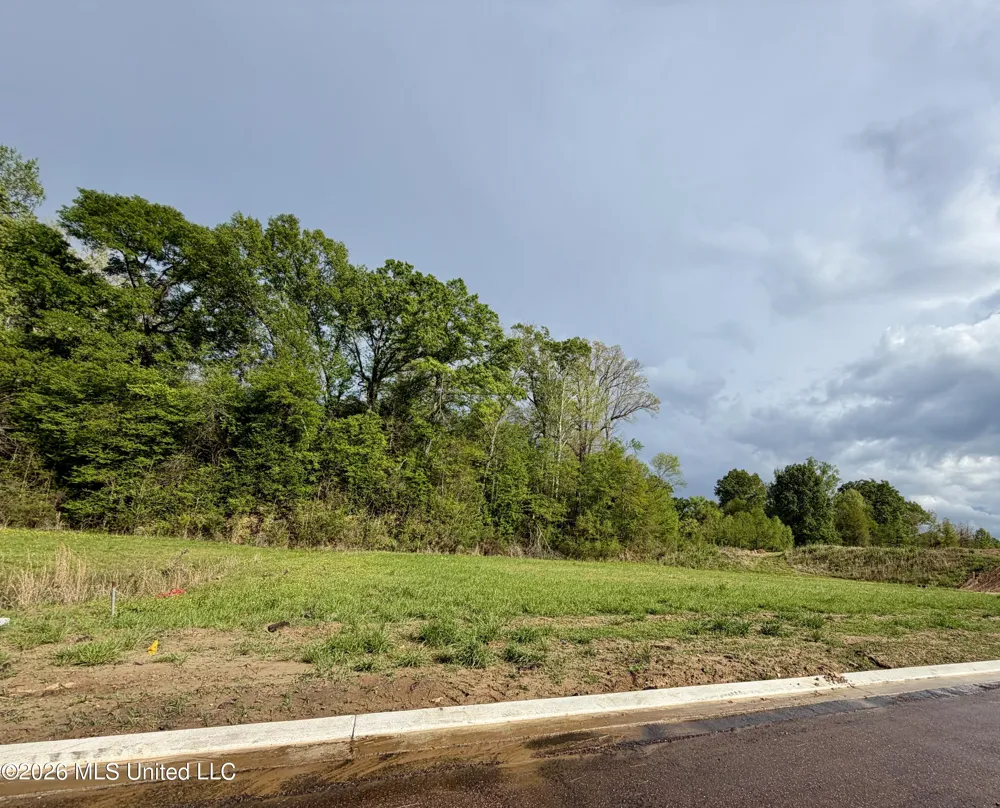 00 Plainview Dr Lot 4 Vicksburg, MS 39180
