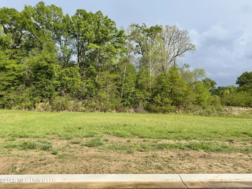 00 Plainview Dr Lot 4 Vicksburg, MS 39180