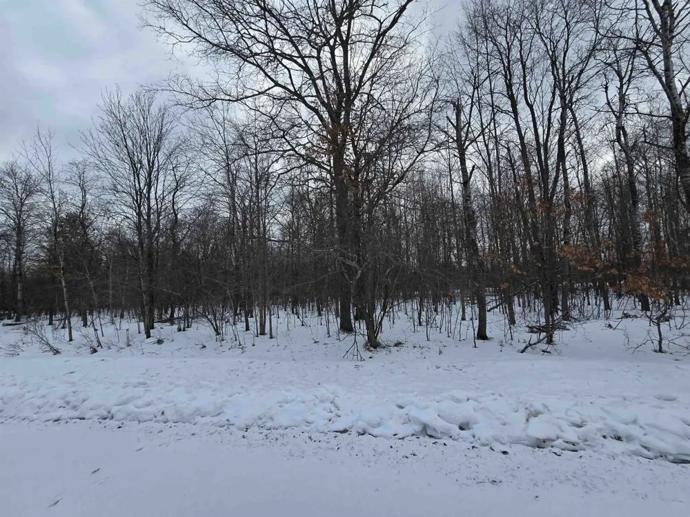 6 Fairway Court Beaver Creek Township, MI 49738