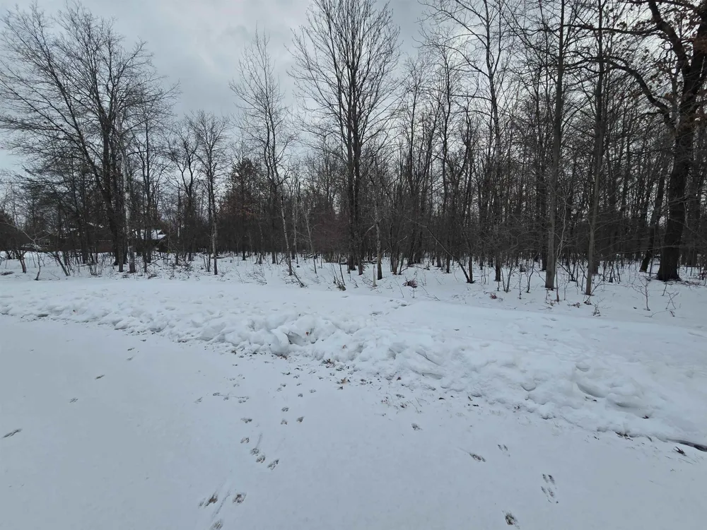 6 Fairway Court Beaver Creek Township, MI 49738