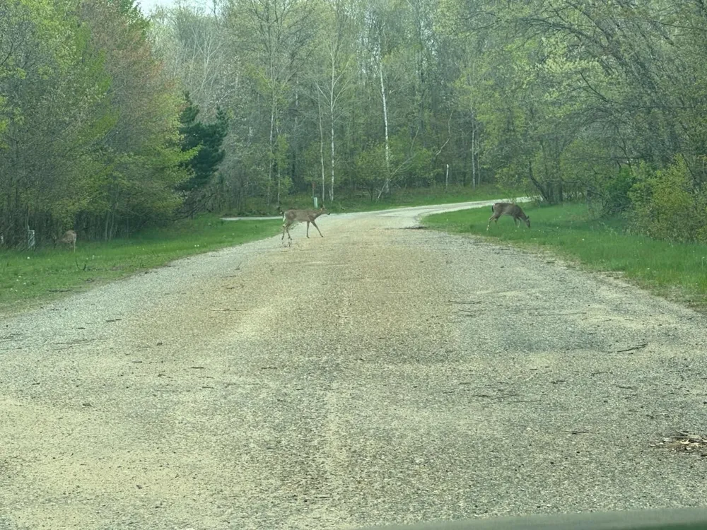 6 Fairway Court Beaver Creek Township, MI 49738