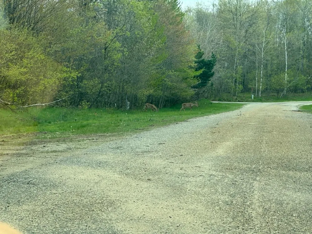 6 Fairway Court Beaver Creek Township, MI 49738