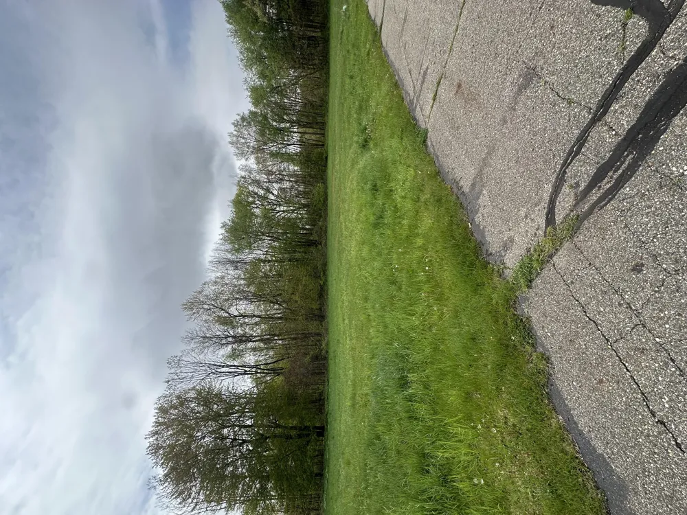 Raintree Sturgis, MI 49091