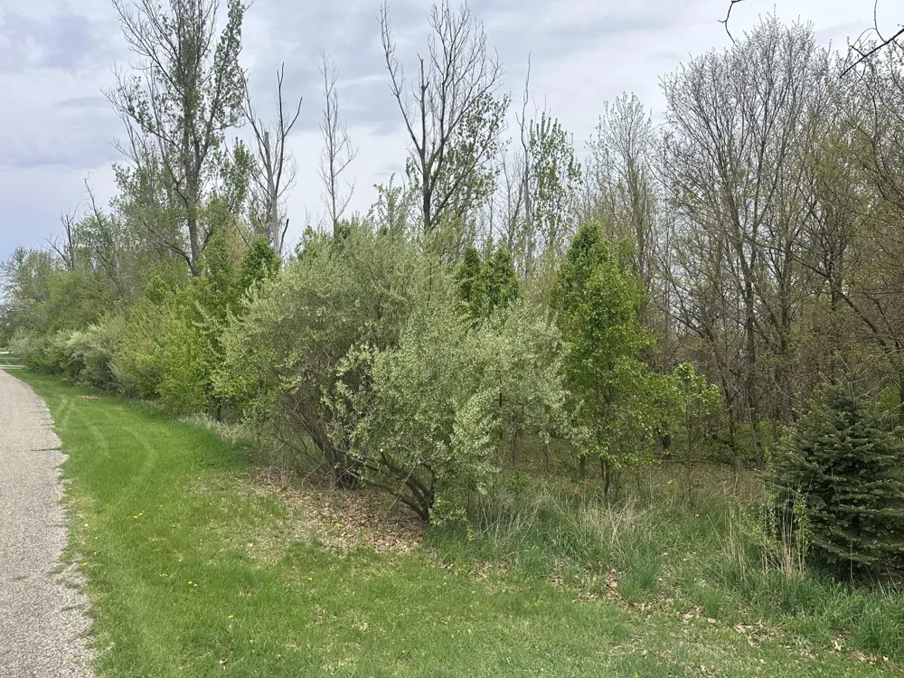 Raintree Sturgis, MI 49091