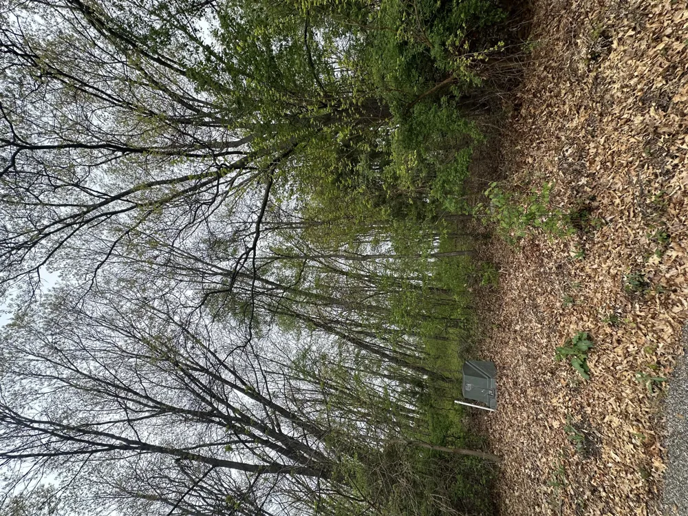 Raintree Sturgis, MI 49091