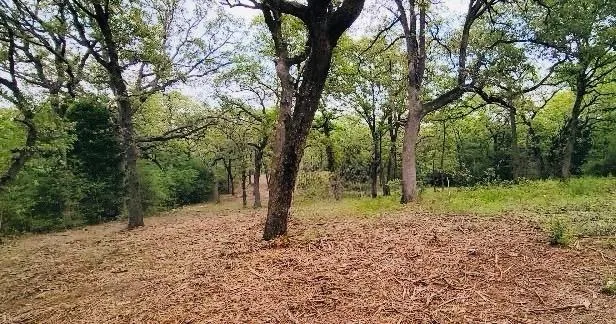 3 County Road 312 Thrall, TX 76578
