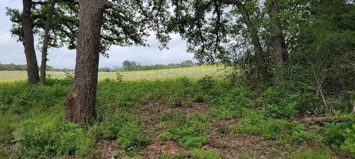 3 County Road 312 Thrall, TX 76578