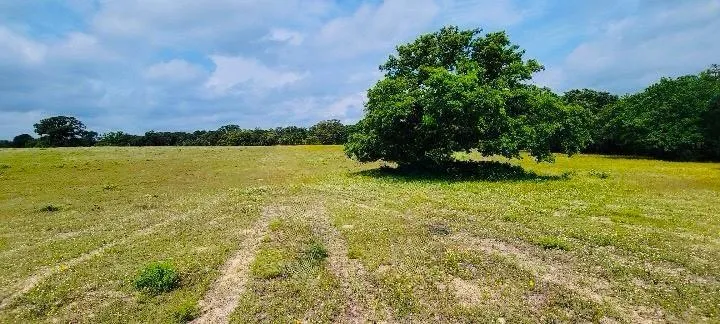 3 County Road 312 Thrall, TX 76578