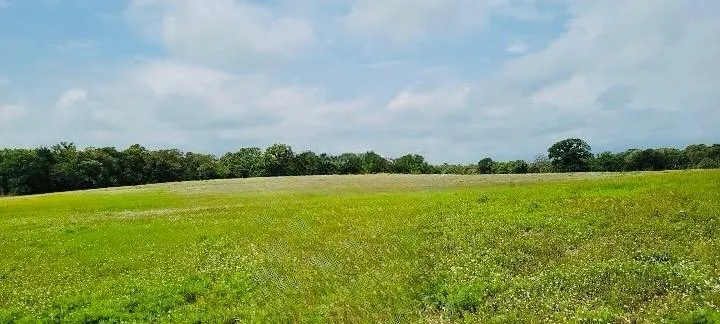 3 County Road 312 Thrall, TX 76578