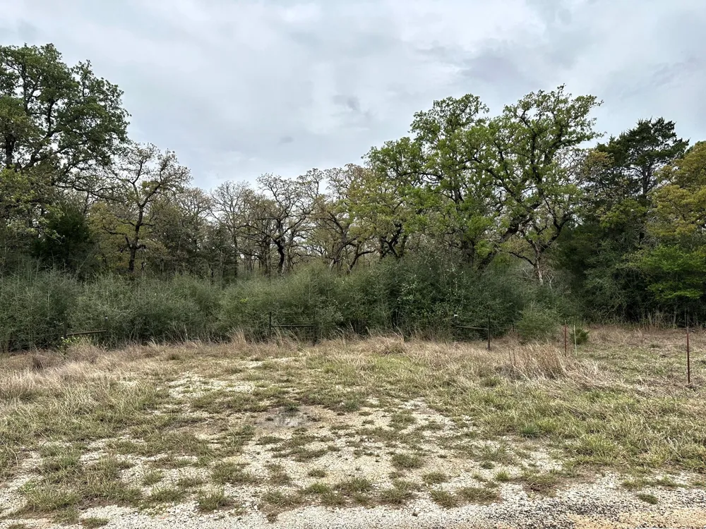 3 County Road 312 Thrall, TX 76578