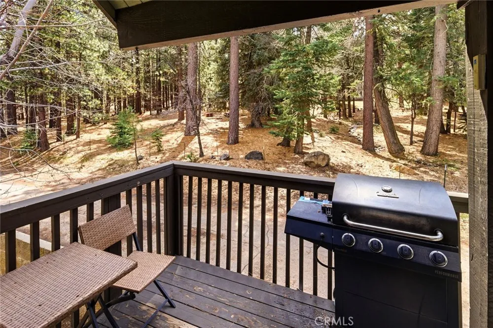 41935 Switzerland Big Bear Lake, CA 92315