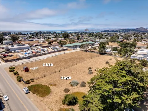 1250 Los Olivos