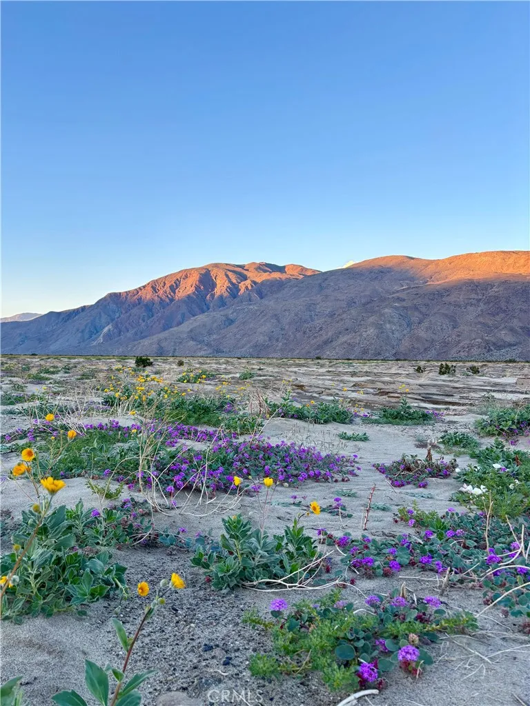 3195 Club Circle W Borrego Springs, CA 92004
