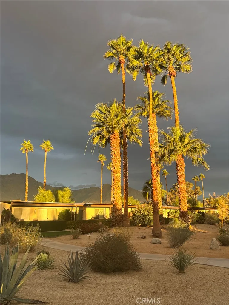 3195 Club Circle W Borrego Springs, CA 92004