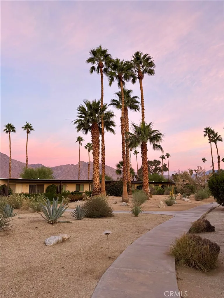 3195 Club Circle W Borrego Springs, CA 92004