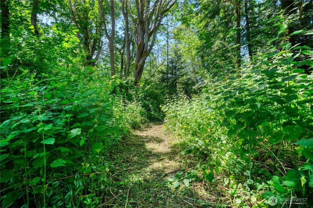 6 acres South Beach Road Point Roberts, WA 98281