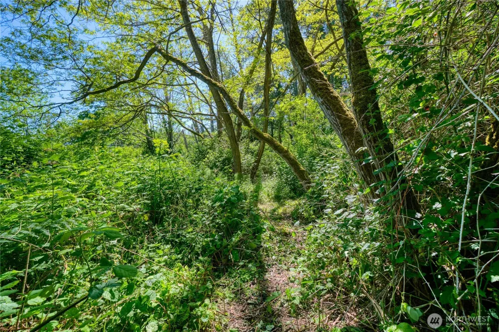 6 acres South Beach Road Point Roberts, WA 98281