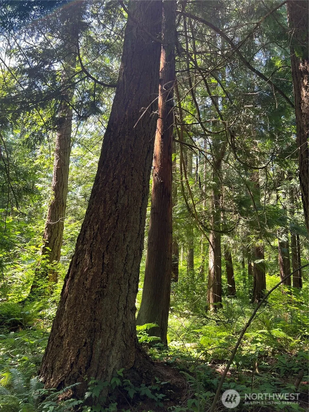 6 acres South Beach Road Point Roberts, WA 98281