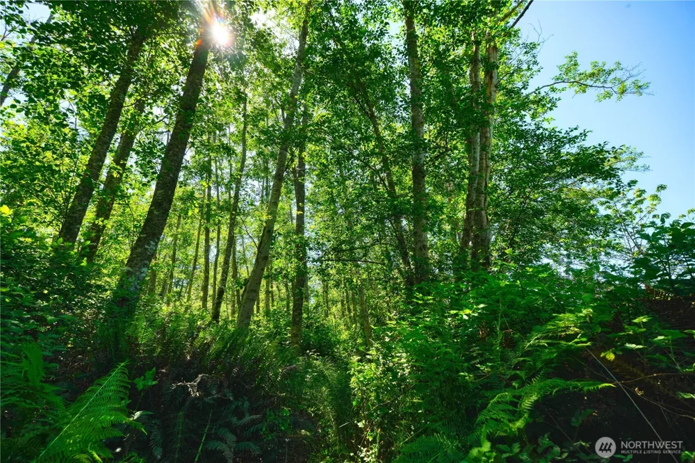 6 acres South Beach Road Point Roberts, WA 98281