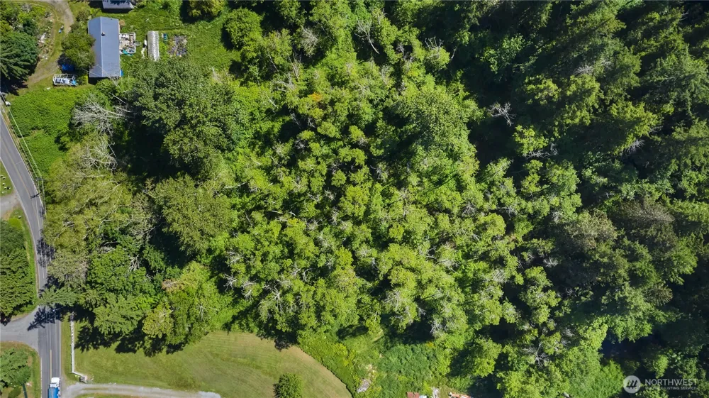 6 acres South Beach Road Point Roberts, WA 98281