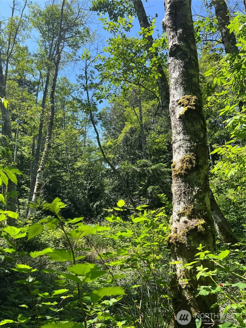 6 acres South Beach Road Point Roberts, WA 98281