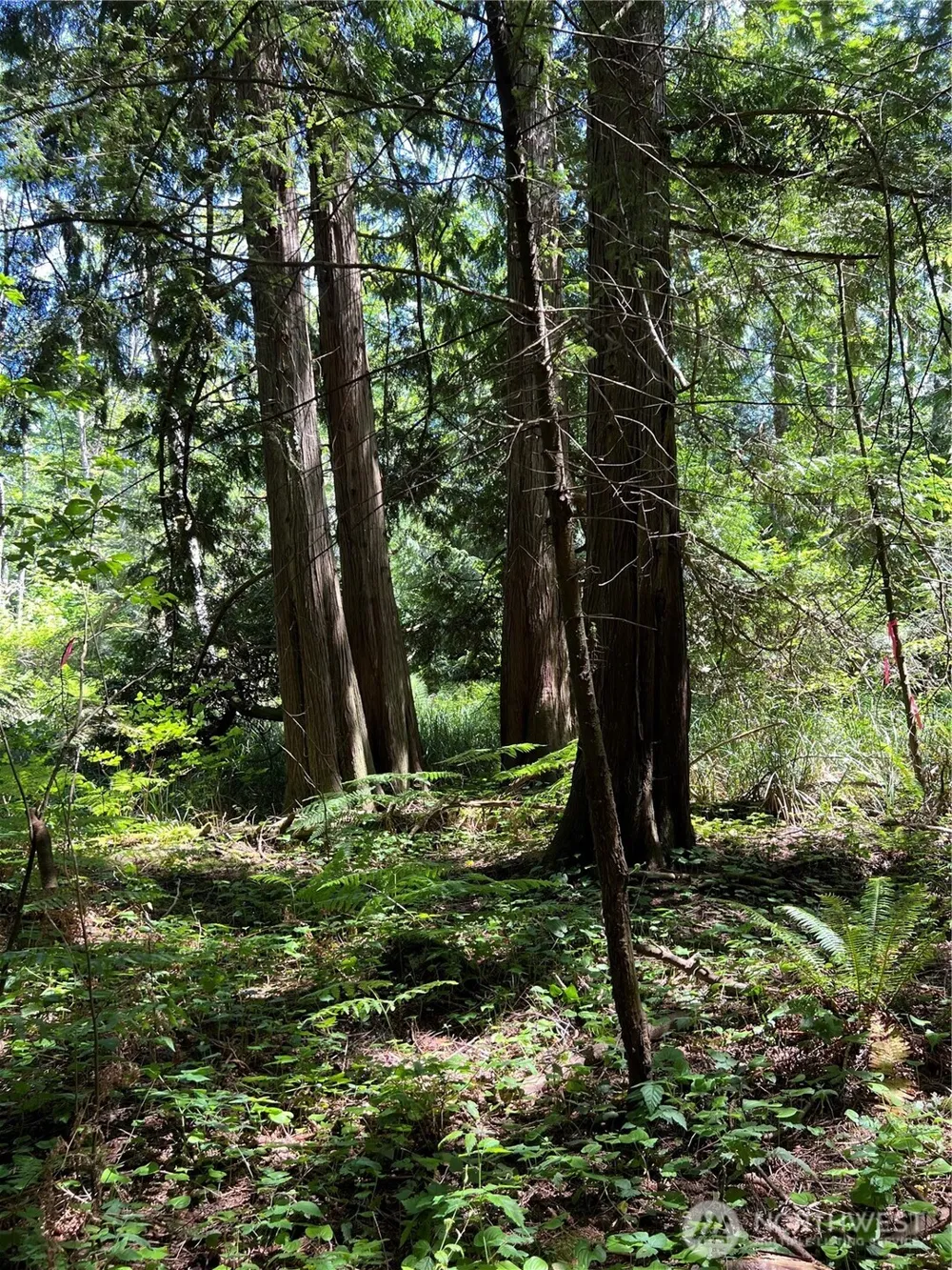 6 acres South Beach Road Point Roberts, WA 98281