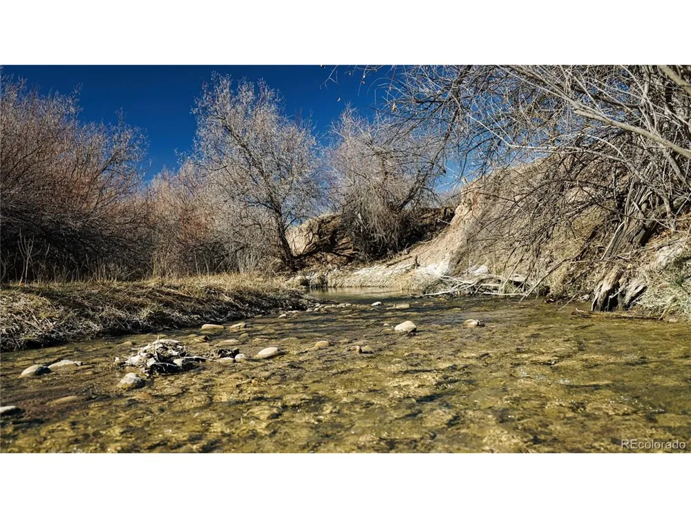 161 Colorado Land & Livestock Walsenburg, CO 81089