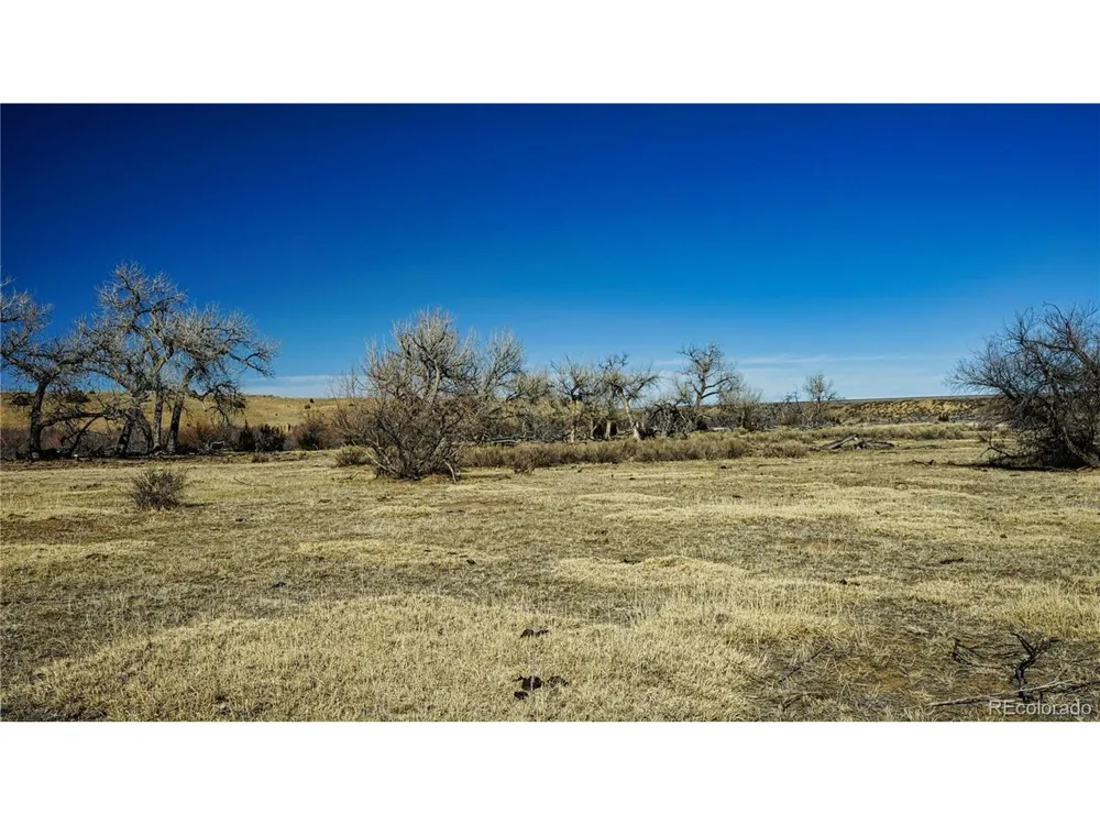 161 Colorado Land & Livestock Walsenburg, CO 81089