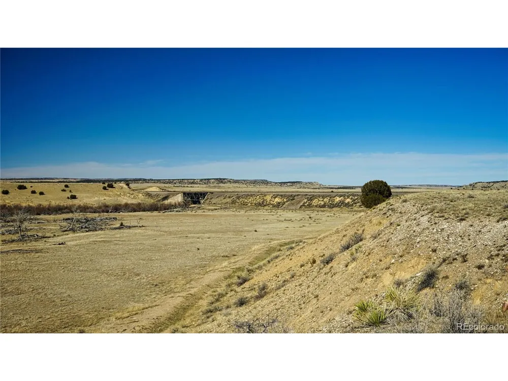 161 Colorado Land & Livestock Walsenburg, CO 81089