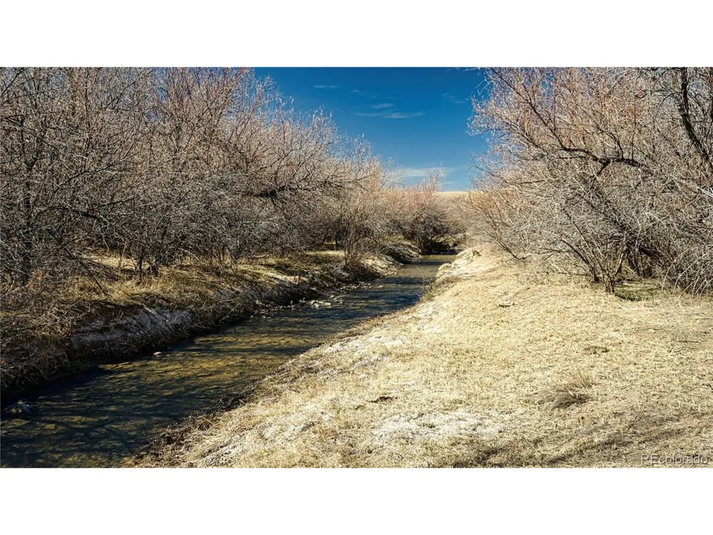 161 Colorado Land & Livestock Walsenburg, CO 81089