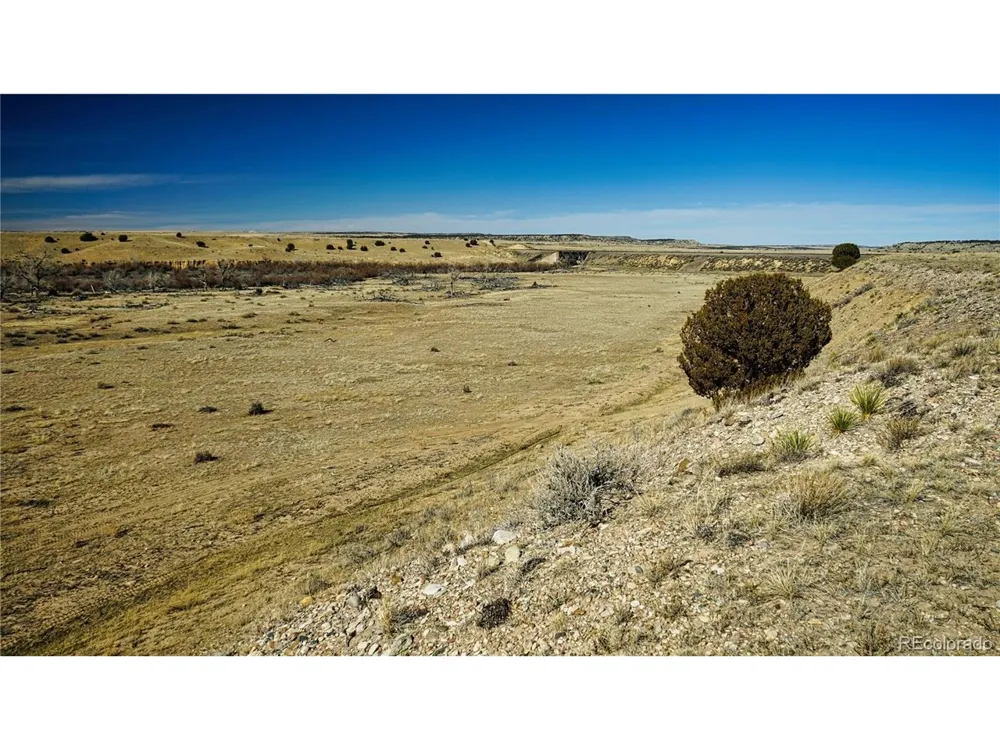 161 Colorado Land & Livestock Walsenburg, CO 81089