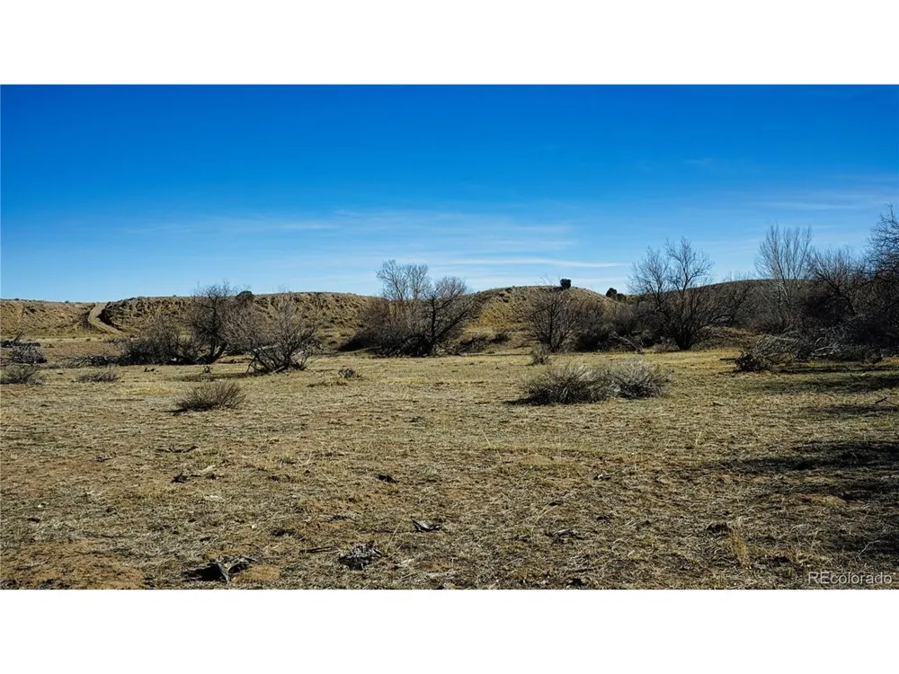 161 Colorado Land & Livestock Walsenburg, CO 81089