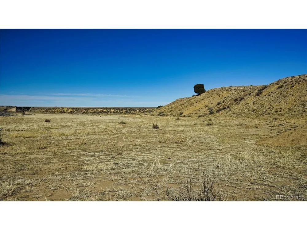 161 Colorado Land & Livestock Walsenburg, CO 81089