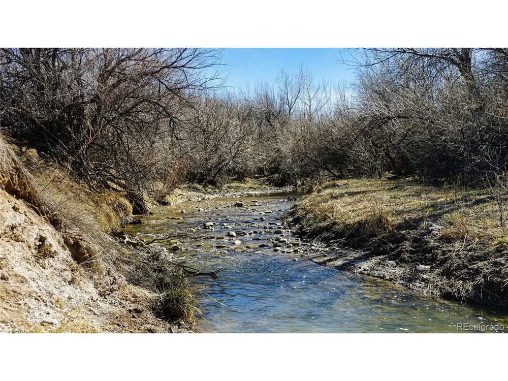 161 Colorado Land & Livestock Walsenburg, CO 81089