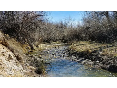 161 Colorado Land & Livestock