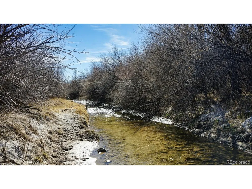 161 Colorado Land & Livestock Walsenburg, CO 81089