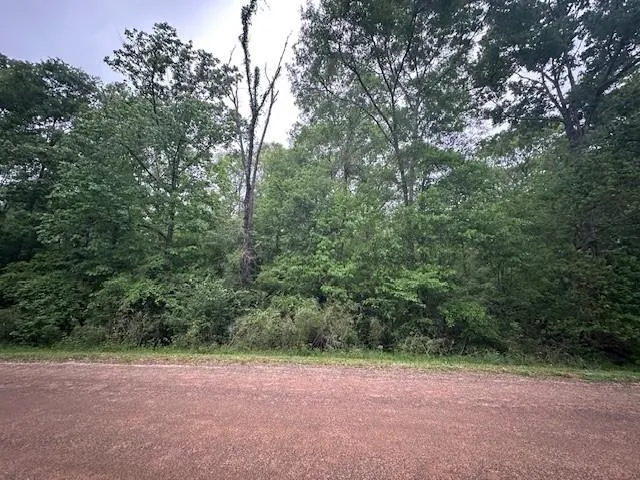 13 Eastgate Livingston, TX 77351