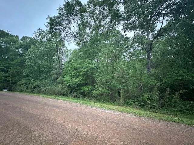 13 Eastgate Livingston, TX 77351