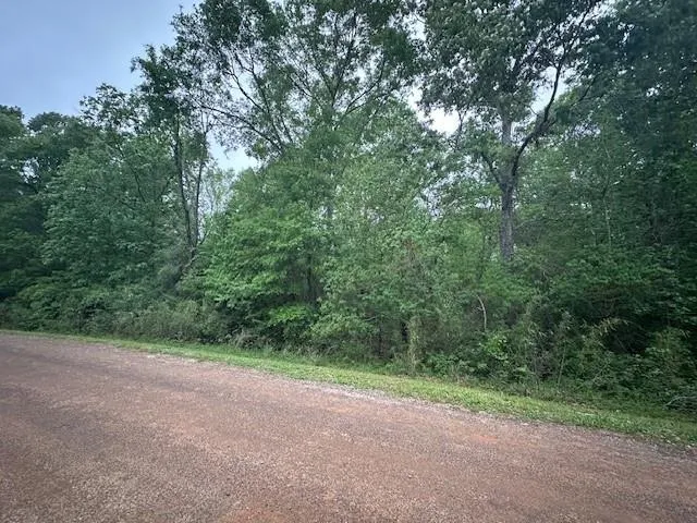 13 Eastgate Livingston, TX 77351