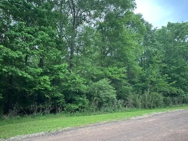 13 Eastgate Livingston, TX 77351