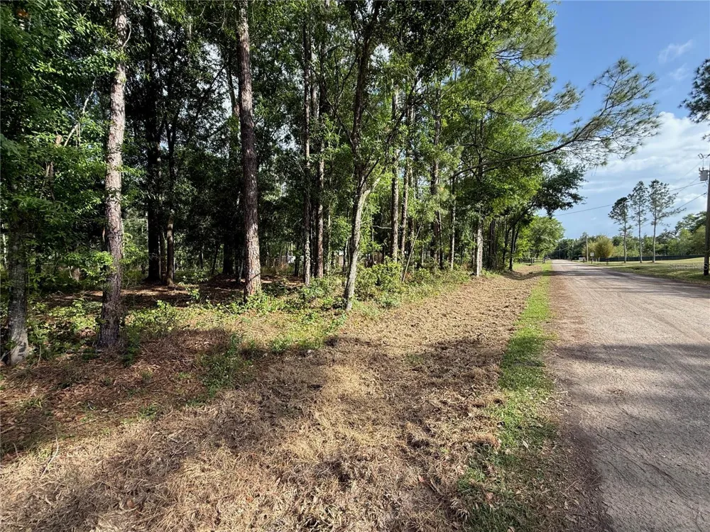 QUAIL HOLLOW BOULEVARD Wesley Chapel,, FL 33544