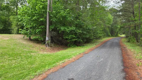 Heron Lane