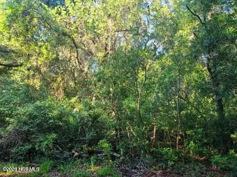 54 Fort Holmes Trail